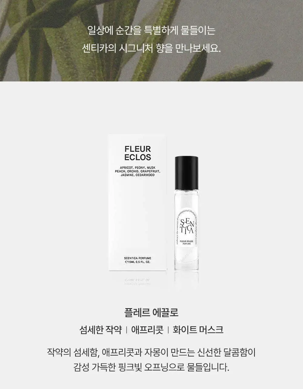[NEW/단독 증정] 센티카 시그니처 퍼퓸 15ml & 2ml 3종 디스커버리 3종 택1 상세페이지 6